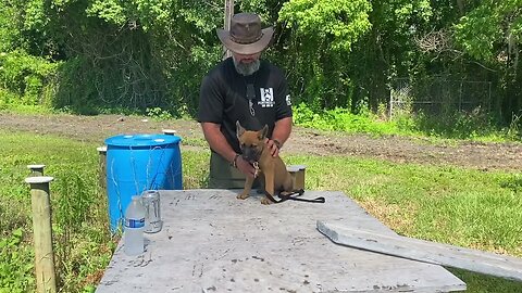 Starting the Basics