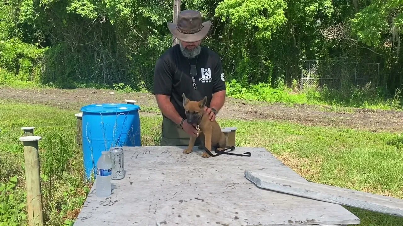 Starting the Basics