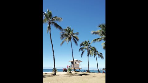 Beach Day