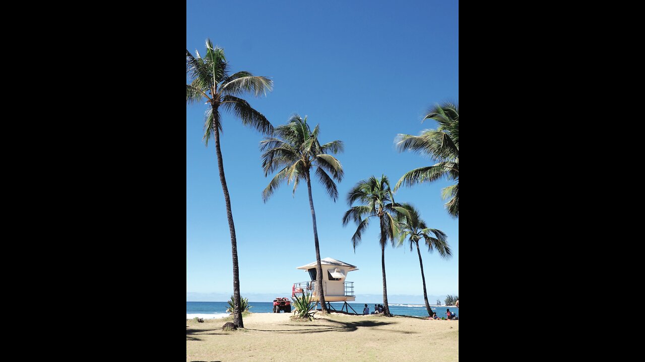 Beach Day