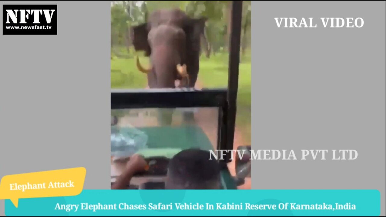 Angry Elephant Chases Safari Vehicle In Kabini Reserve,India