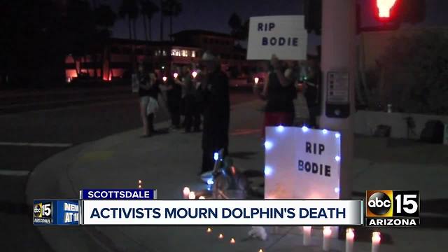 Activists hold vigil for Bodie, Dolphinaris dolphin who died last month