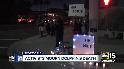 Activists hold vigil for Bodie, Dolphinaris dolphin who died last month