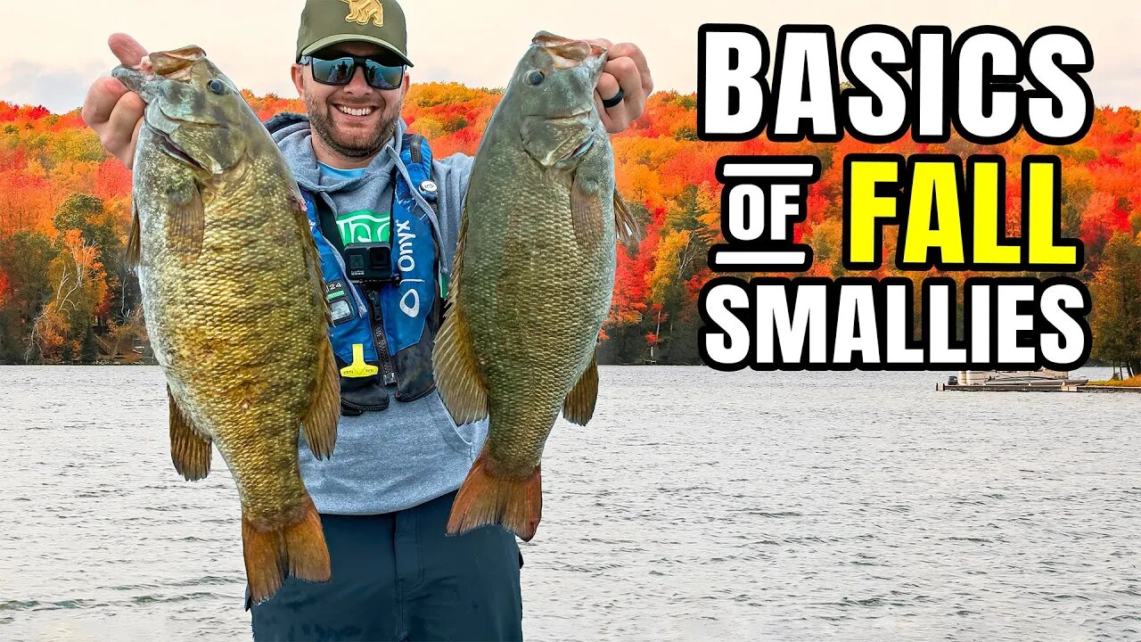 The BASICS of Fall Smallmouth Fishing