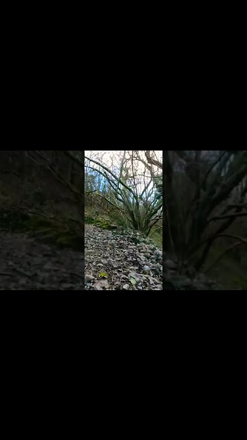 Fewston Reservoir near Otley and Harrogate