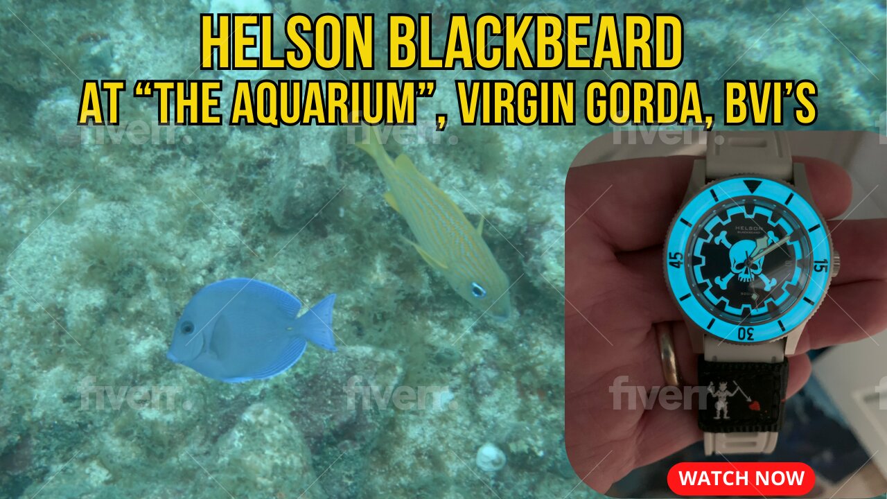 SCUBA Diving "The Aquarium" Virgin Gorda, BVI's with a Helson Blackbeard Dive Watch