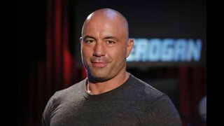 Joe Rogan On Elon Musk | Mystery School