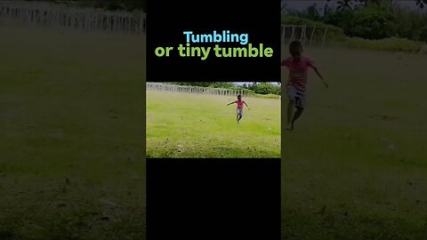 Tiny Tumble #everyone #foreveryone #fyp #trendingvideo #bestoftiktokph