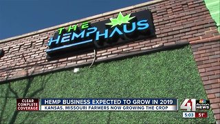 Hemp business expected to grow in 2019