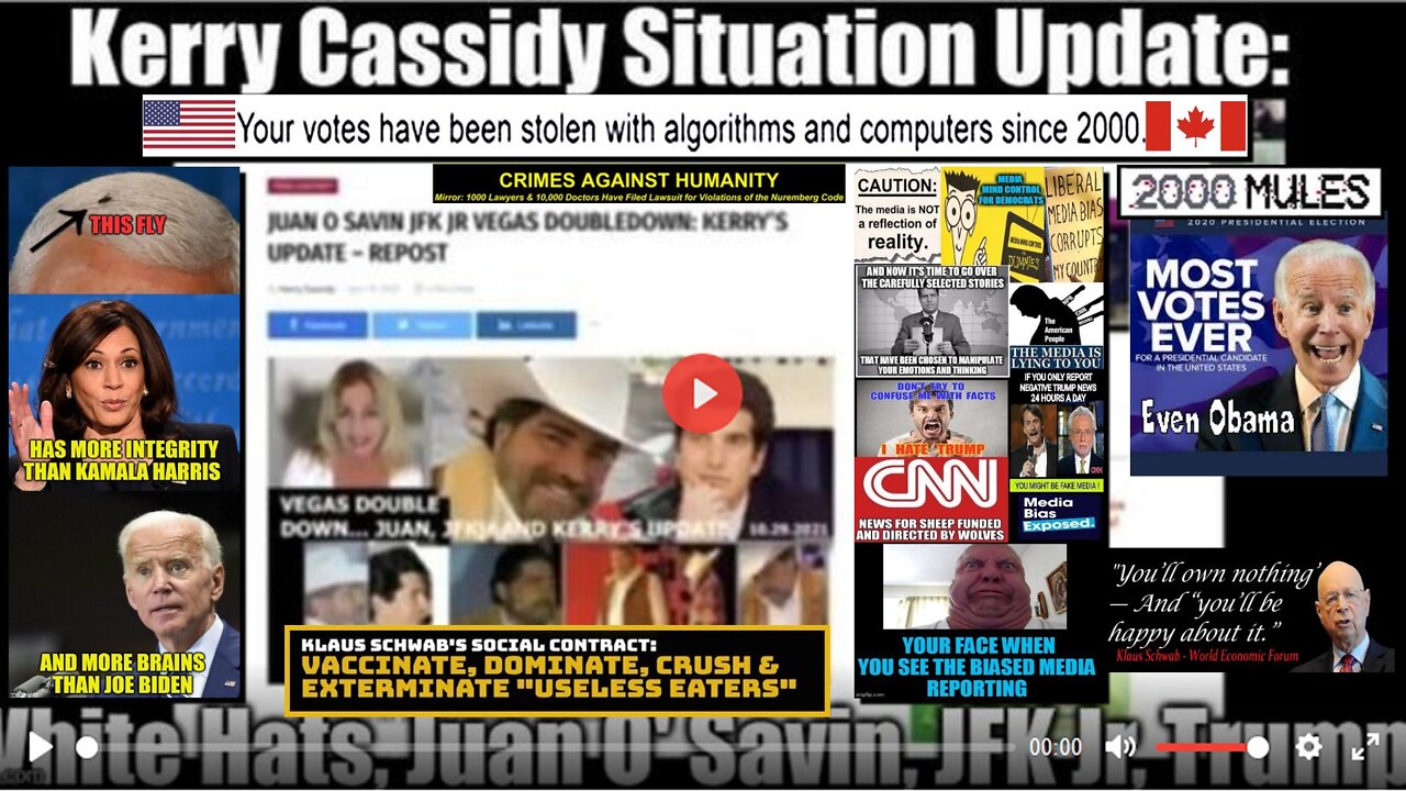 Kerry Cassidy Situation Update: White Hats, Juan O' Savin, JFK Jr, Trump