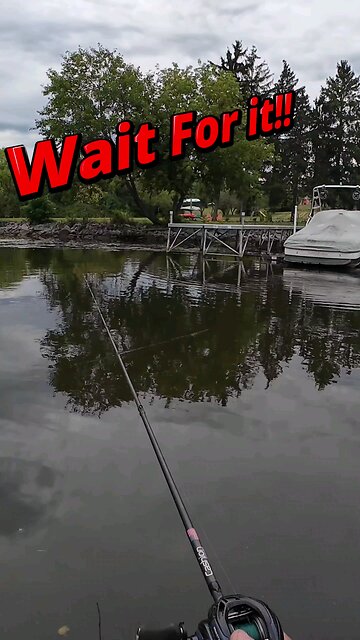 Jumpin River Smallie!!