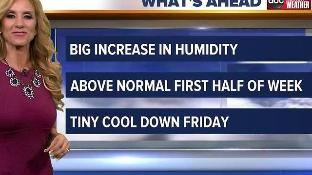 Action Weather Forecast