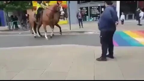 UK mounted police scared of rainbow pedestrian crossing put in place for the lgbtq+ community