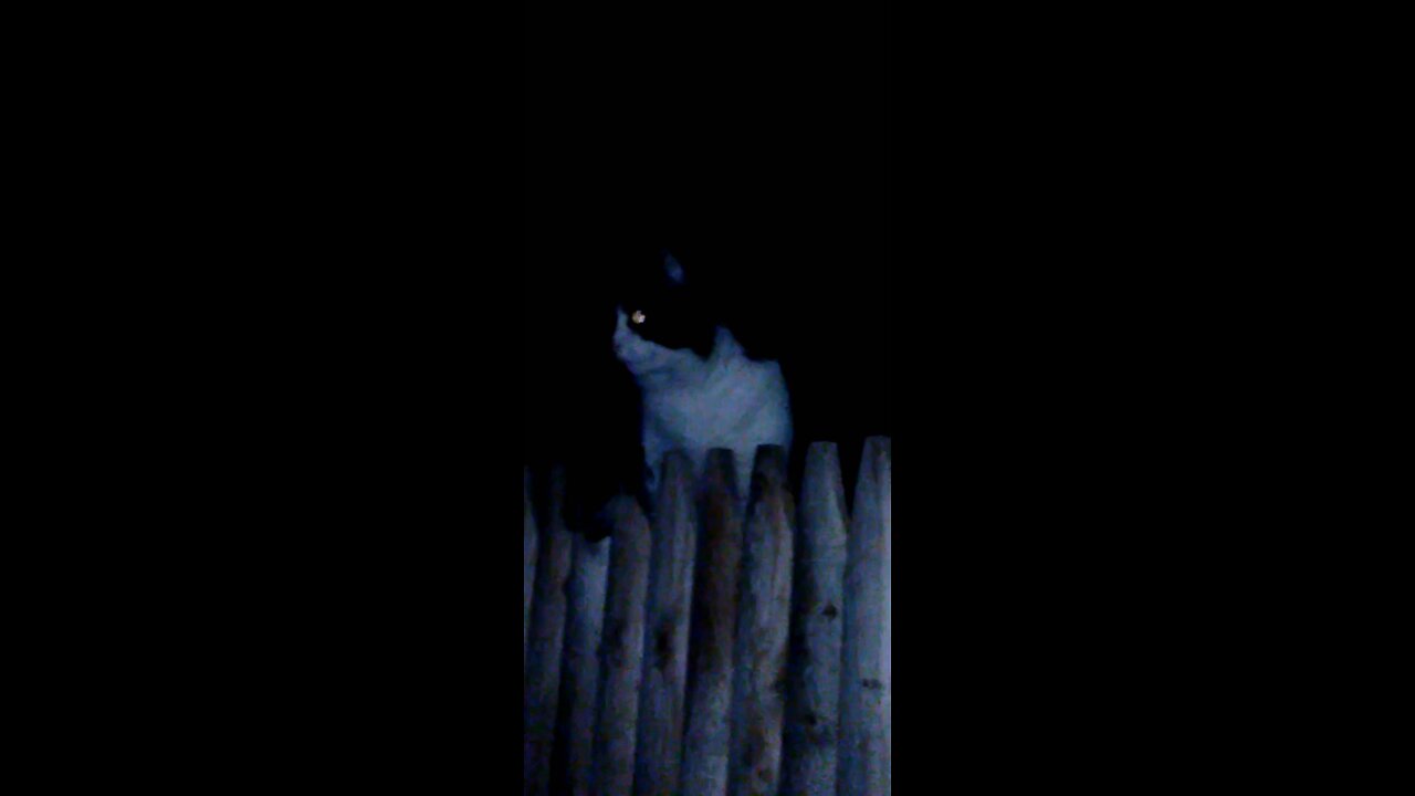 Look who decided to come home