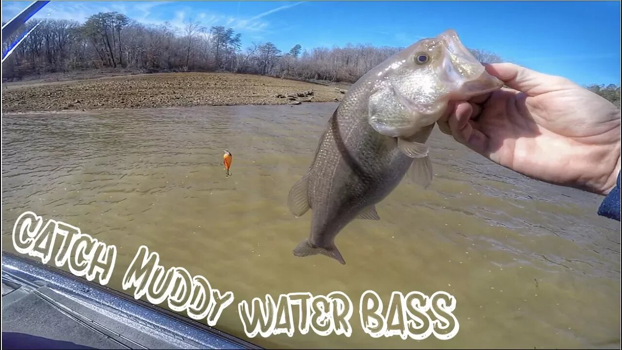 MY FAVORITE BAIT TO CATCH MUDDY WATER BASS!