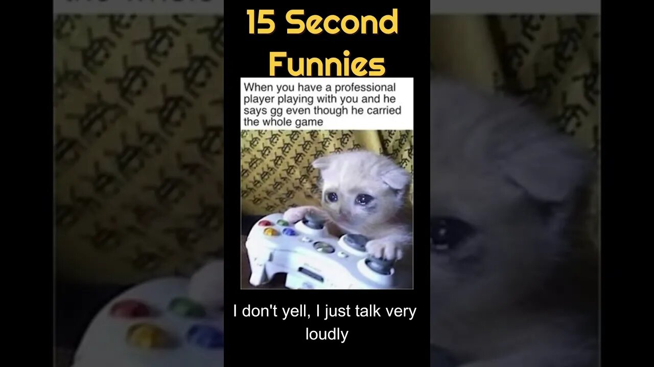 15 Second Funnies 57 #shorts #gamingshorts