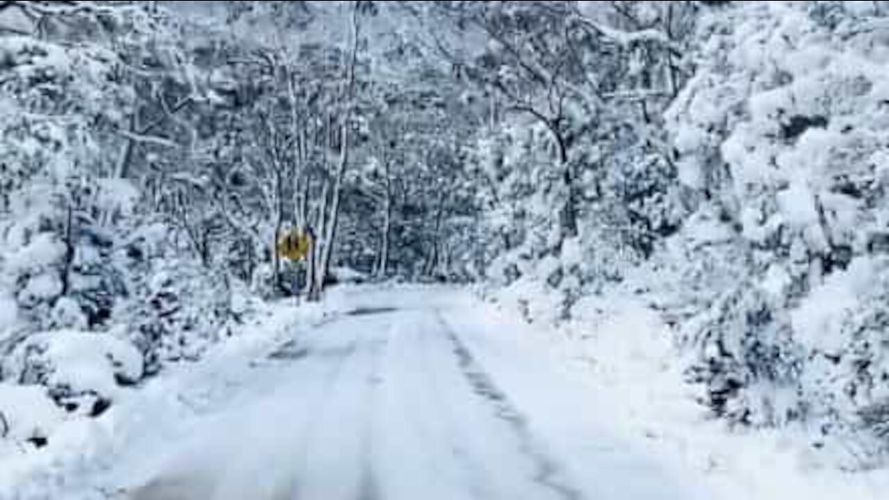 Driving through a snowy mountain in Tasmania