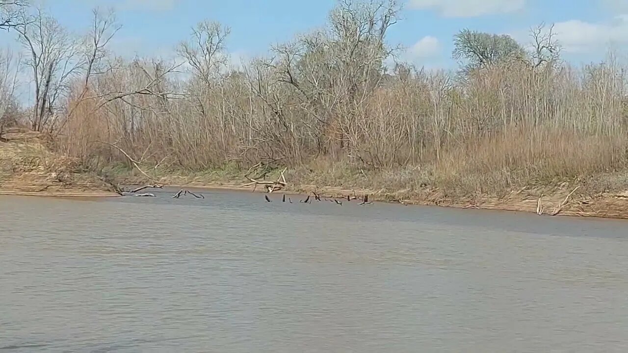 Brazos River & Navasota River meet
