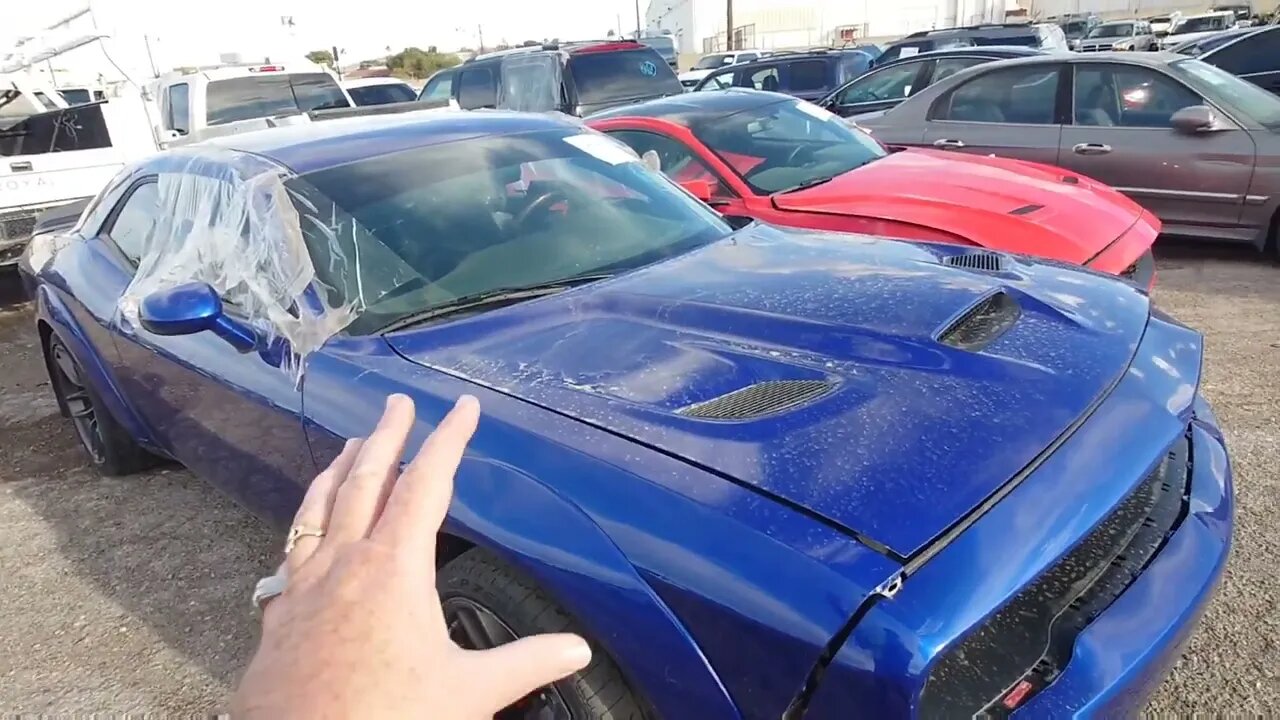 So Many Mopars, Ram, Hellcats, ScatPacks, Diesel Trucks, Blue Monstah?