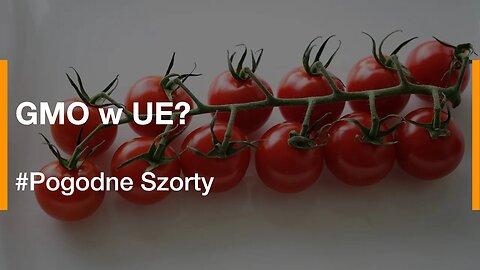 GMO w UE? | Pogodne Szorty #61