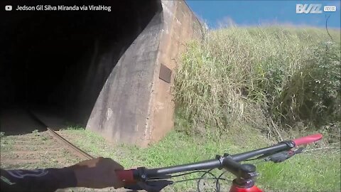 Ciclisti scappano dall'arrivo di un treno!