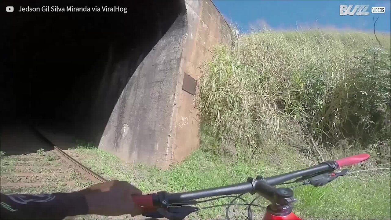 Ciclisti scappano dall'arrivo di un treno!