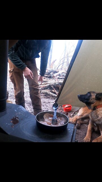 4 days winter hottent camping in the wilderness🥶🌲