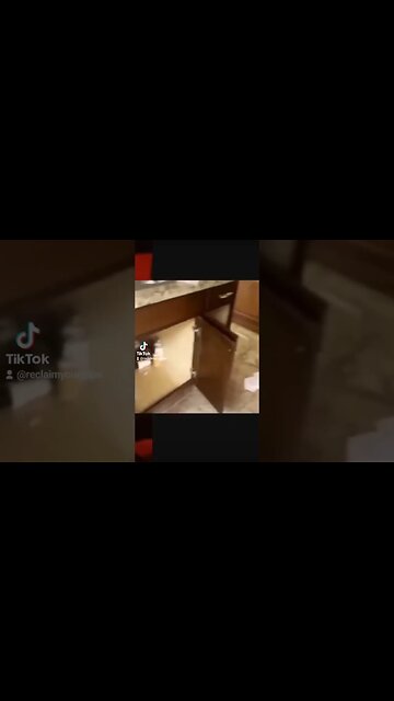 Black Woman Destroys an Apartment Acts as Vegeance for Kicking Out the Squater #reclaimyourthrone🤴🏾