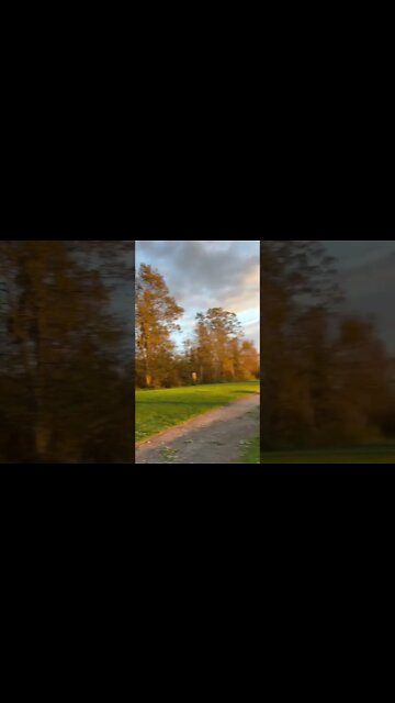 Golden Hour after Hurricane Fiona