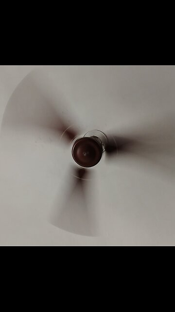Beautiful & Spinning fan.