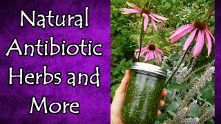 Natural Antibiotics List