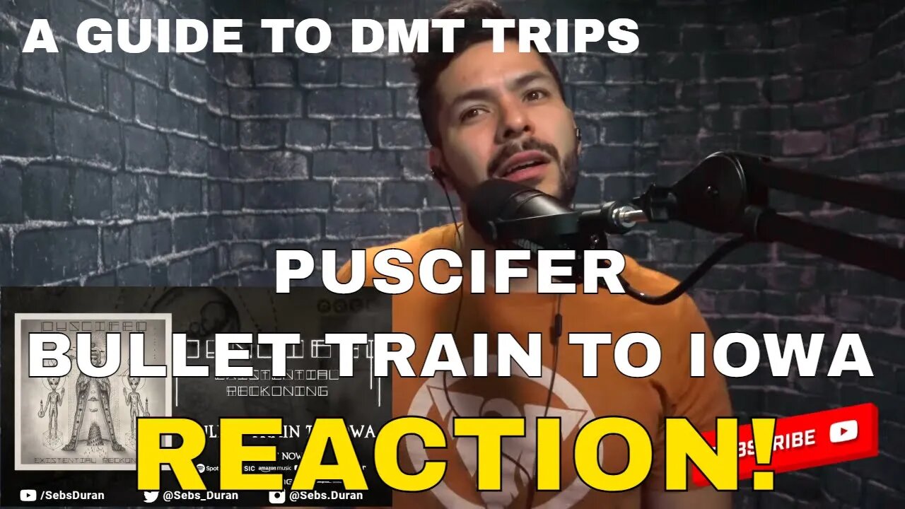Puscifer - Bullet Train to Iowa | Sebs' Reaction | A guide to the DMT experience