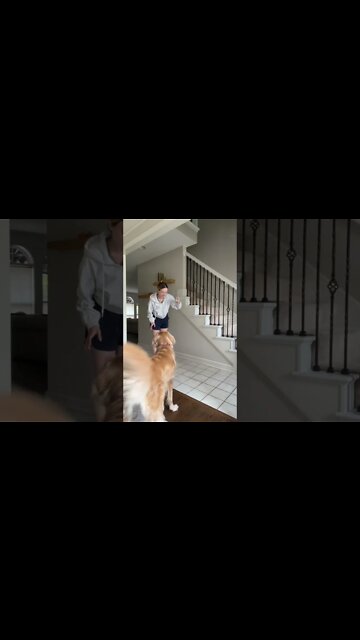 New Trend: Play With Your Dog and Suddenly Freeze