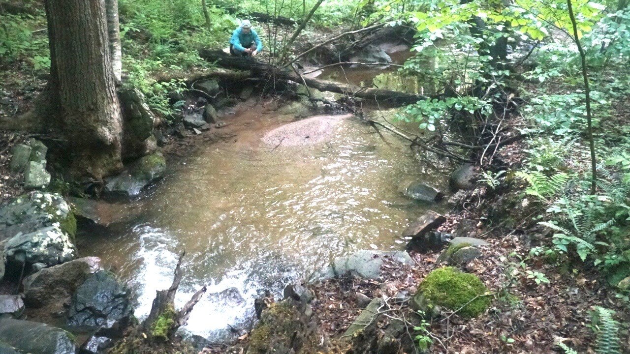 SMALL Stream Fly Fishing for Trout!