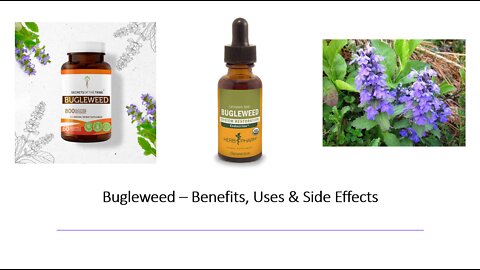 Bugleweed - Benefits, Uses & Side Effects