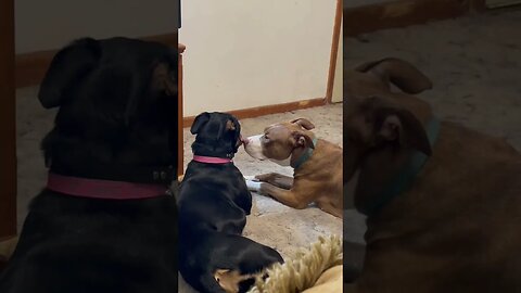 Sisterly love.