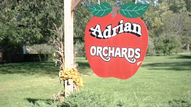 Apple picking world record: Meet the man who has picked the most apples ever