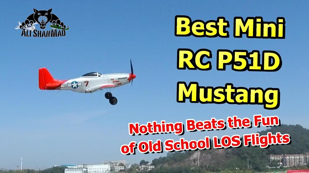 Best Mini RC P51D Mustang - Eachine Mini RC P51 Mustang electric RC Airplane