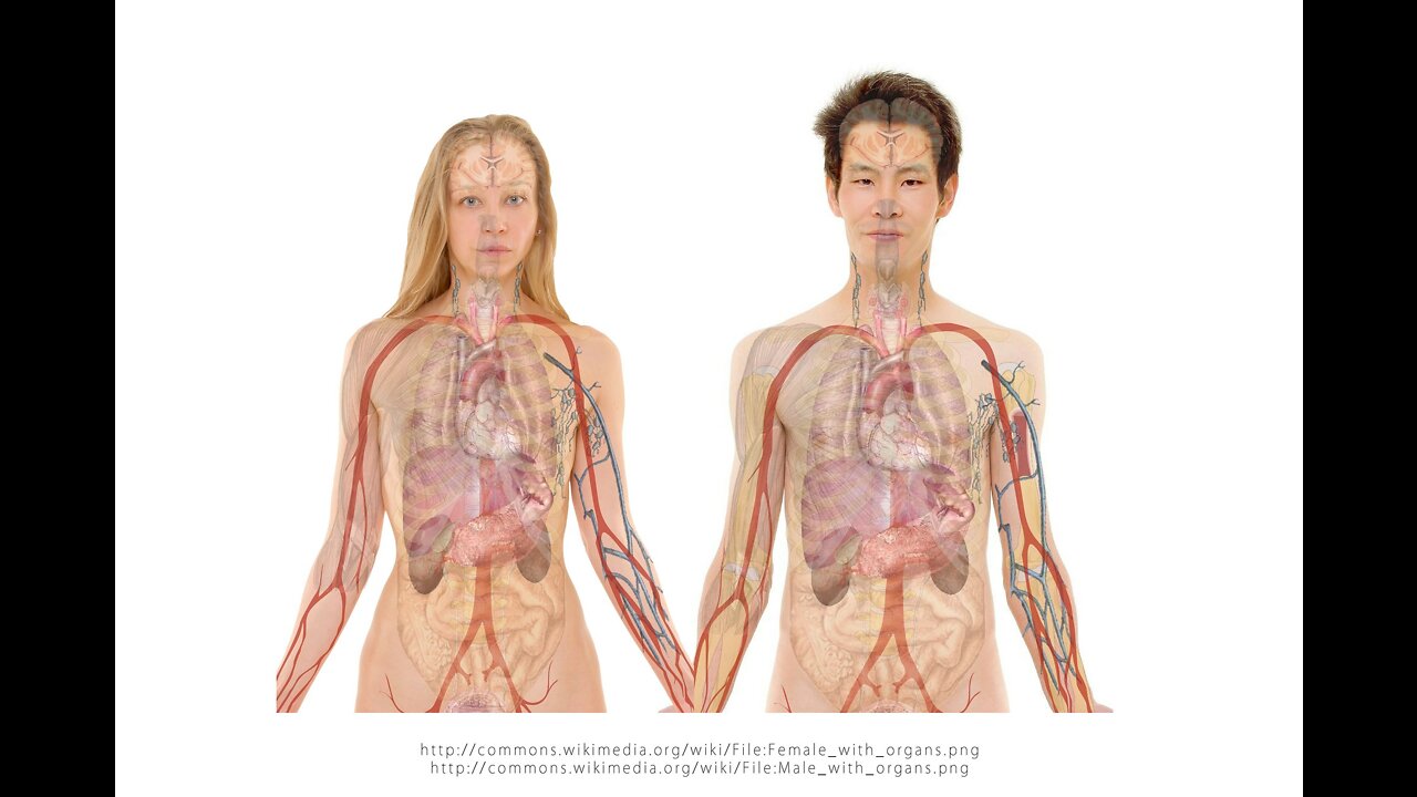 WHAT YOU DIDN'T KNOW ABOUT ORGAN HARVESTING