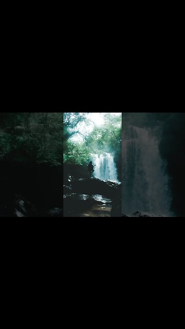 “Soothing Garden Meditation 🌼 | Tranquil Spring Sounds”