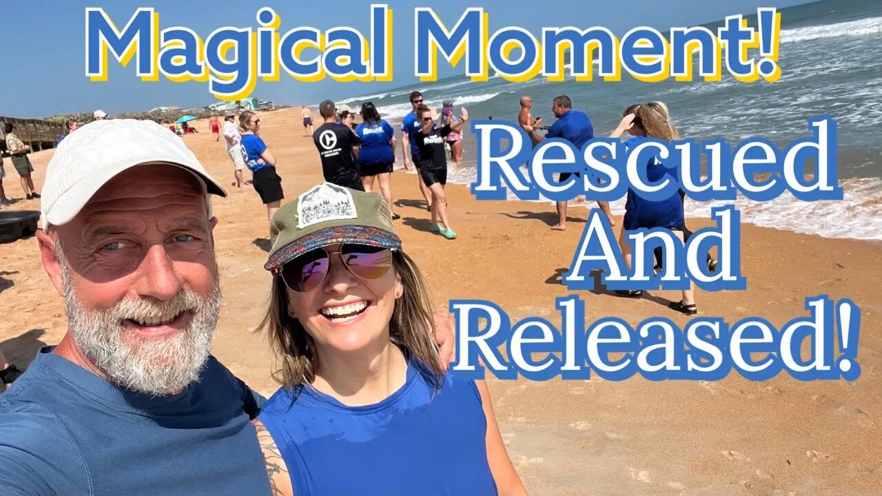 Witness An Unforgettable Moment: Rescued And Returned To The Sea!