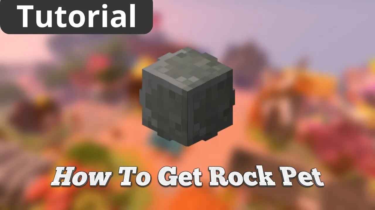 How To Get ROCK PET in Hypixel Skyblock