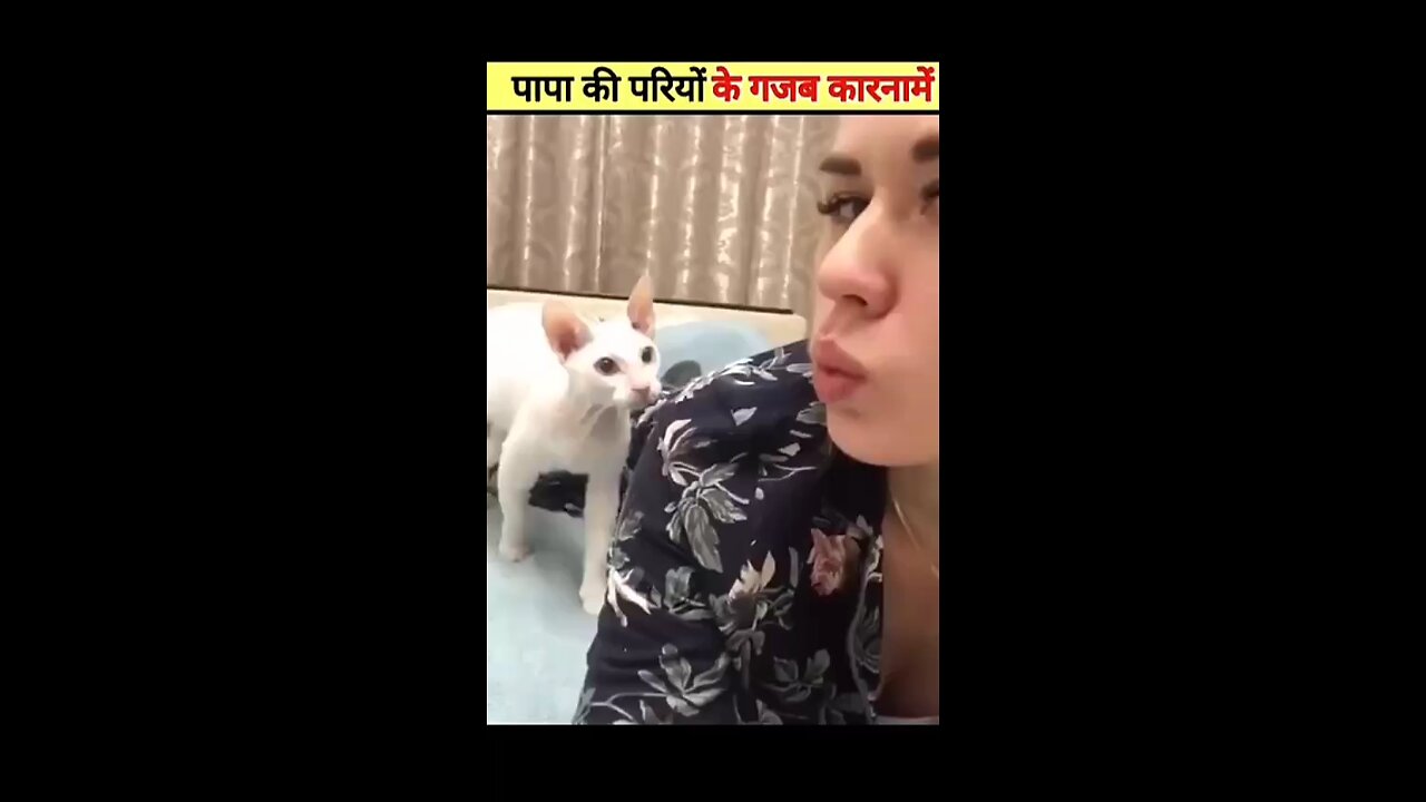 पापा की परियों के गजब के कारनामें देखने के लिए ready हो जाओ।😂🤣😂🤣😂🤣😂#shortvideo #youtubeshort