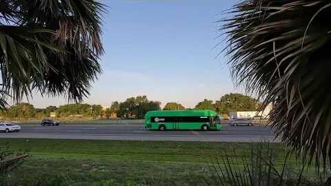 🚗 4X Speed 🚗 Orlando's Freeway on Speed - Traffic #asmr