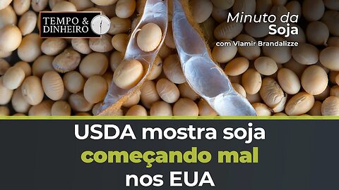 USDA mostra soja começando mal nos EUA