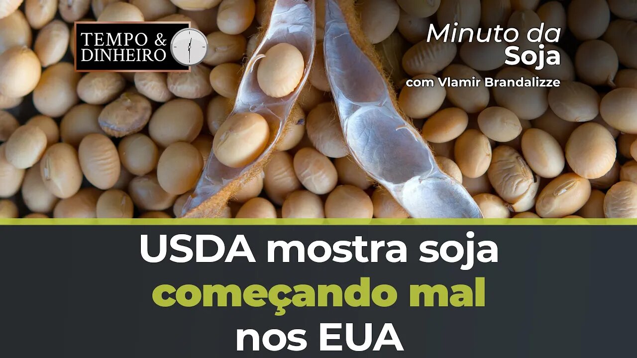 USDA mostra soja começando mal nos EUA