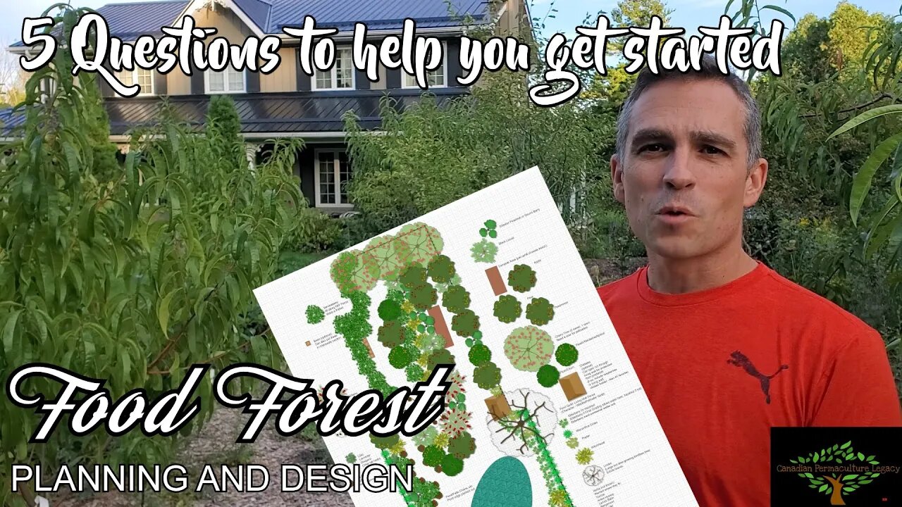 So you want a food forest. Now what? 5 questions to help you get started.