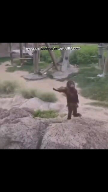 wtf happened to we the government has your back