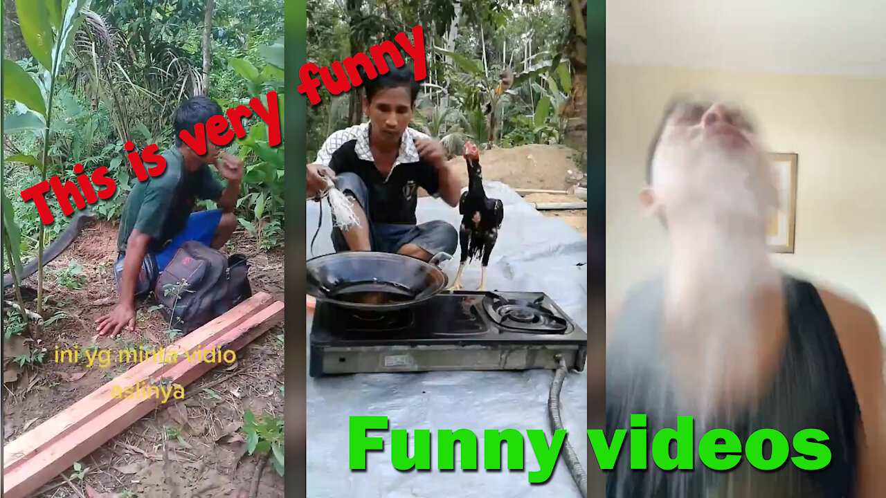 Funniest Videos Moments