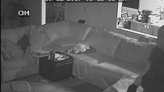 VIDEO: Man robs mom while kids are asleep